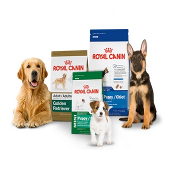 Royal Canin Pet Food wholesale 