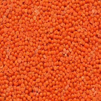 Red Lentils